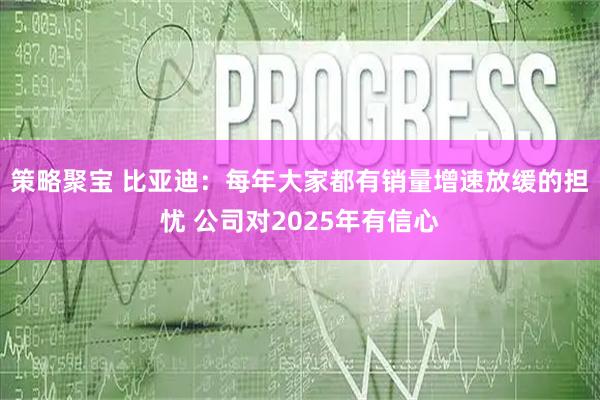 策略聚宝 比亚迪：每年大家都有销量增速放缓的担忧 公司对2025年有信心