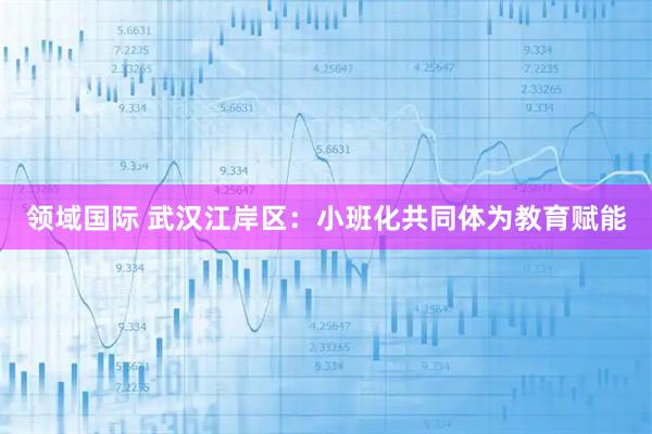 领域国际 武汉江岸区：小班化共同体为教育赋能