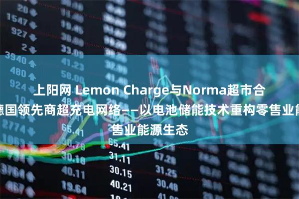 上阳网 Lemon Charge与Norma超市合作打造德国领先商超充电网络——以电池储能技术重构零售业能源生态